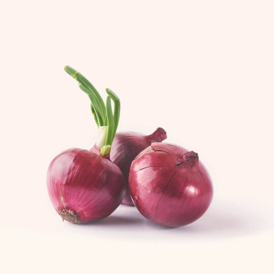 Red Onion