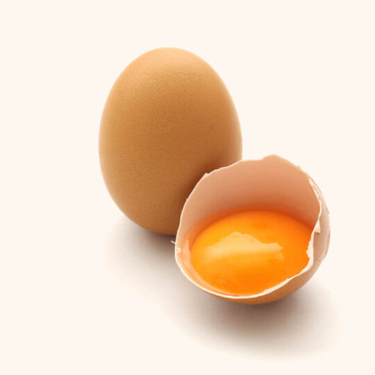 Fresh Egg