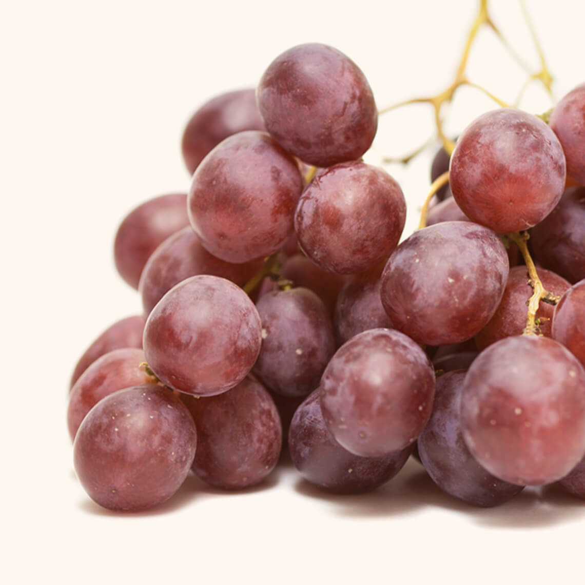Grape - obrazek 2