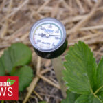 Tensjometr ? pomiar wilgotności gleby i pomoc w planowaniu odpowiedniego nawadniania 24.06.2021