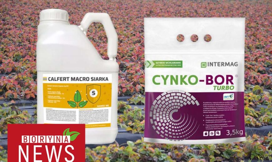 Borynanews_okadka