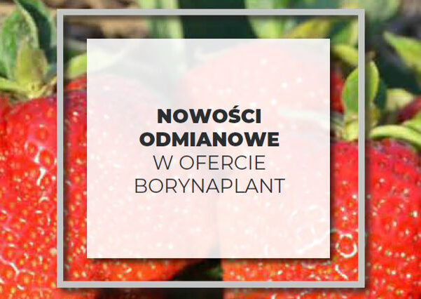 nowości odmianowe 1-2