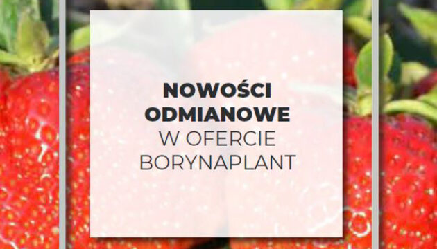 nowości odmianowe 1-2