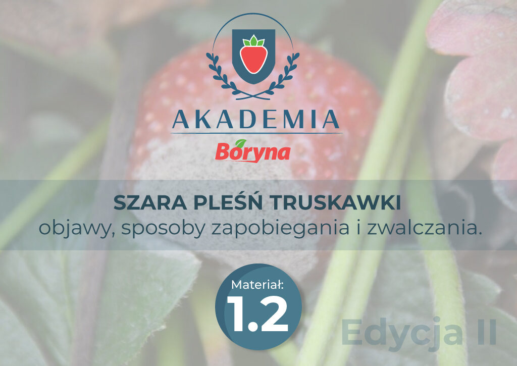 Akademia 2 zdj tytułowe 2_Obszar roboczy 1