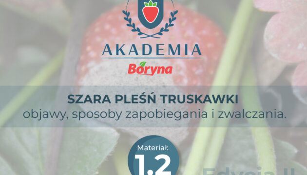 Akademia 2 zdj tytułowe 2_Obszar roboczy 1