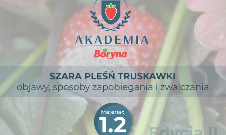 Akademia 2 zdj tytułowe 2_Obszar roboczy 1