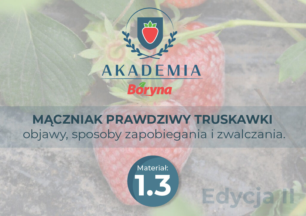 Akademia 2 zdj tytułowe 3_Obszar roboczy 1