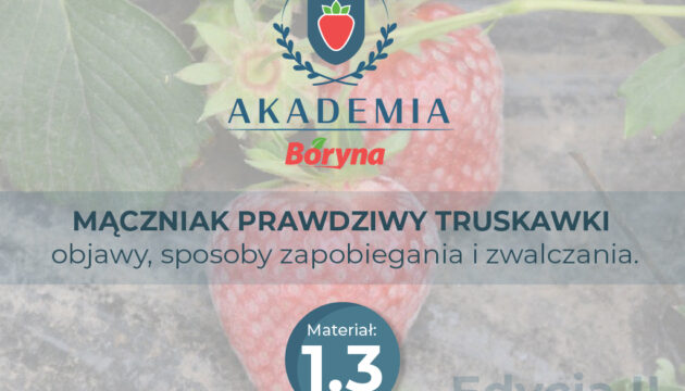 Akademia 2 zdj tytułowe 3_Obszar roboczy 1