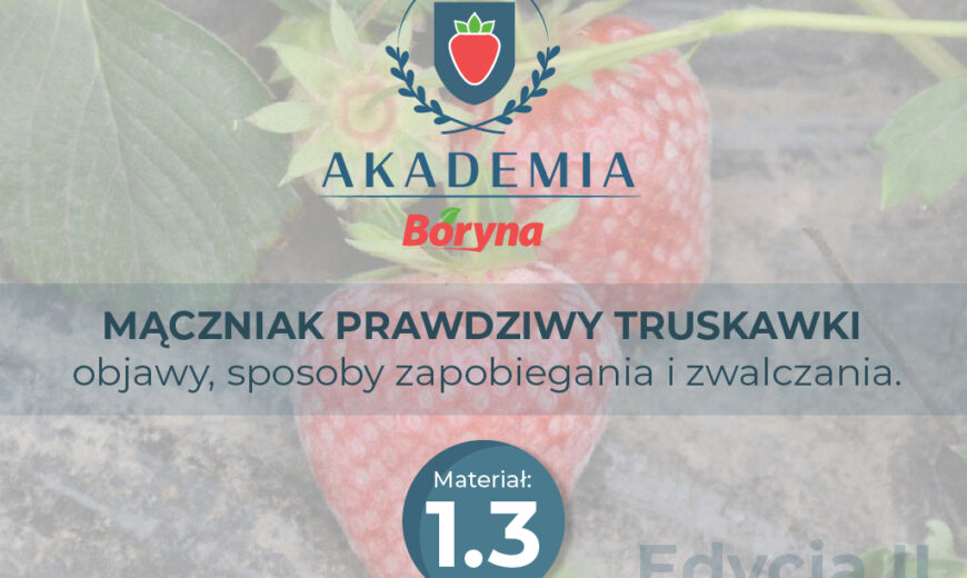 Akademia 2 zdj tytułowe 3_Obszar roboczy 1