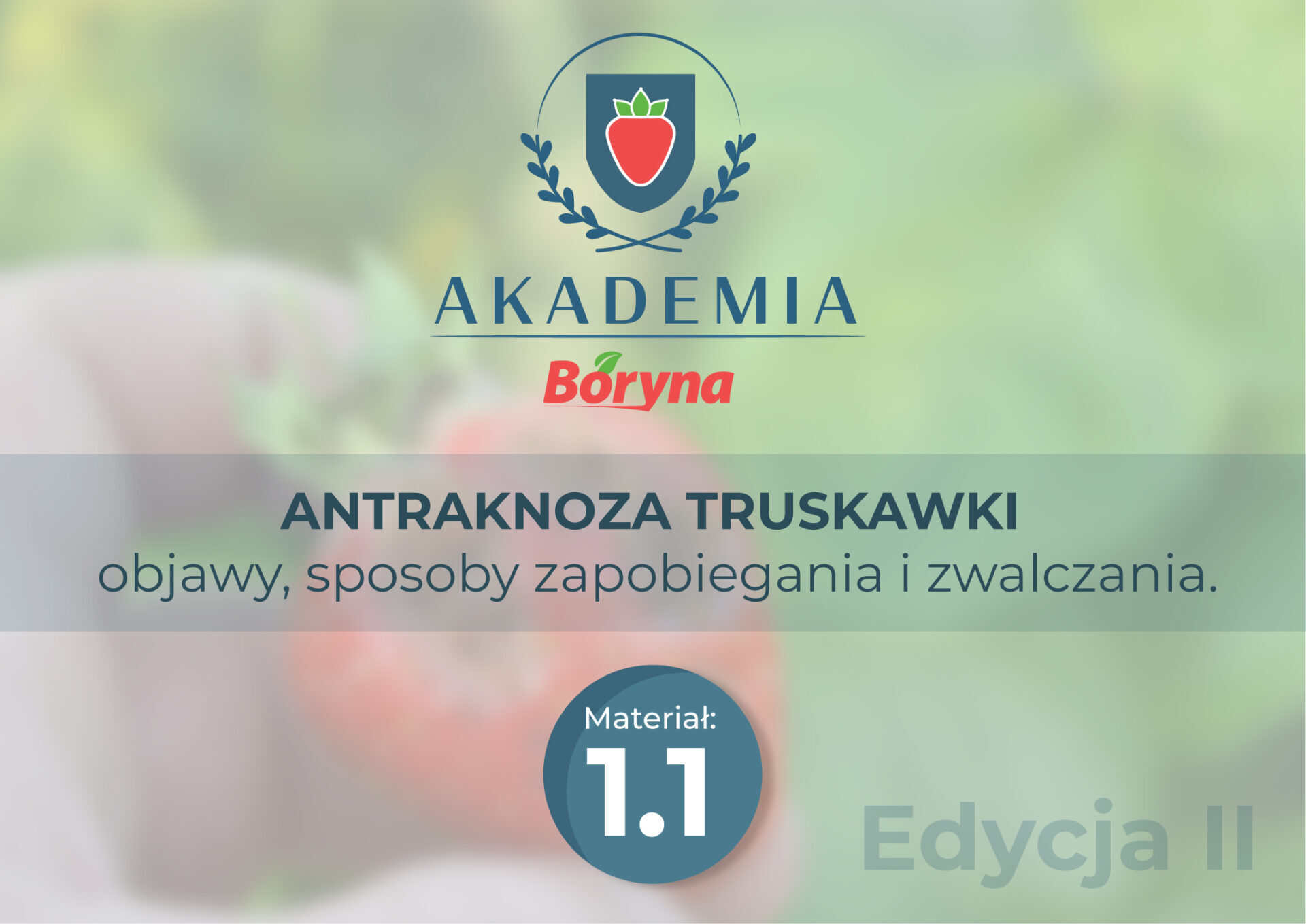 Akademia zdj główne 1 _Obszar roboczy 1_Obszar roboczy 1