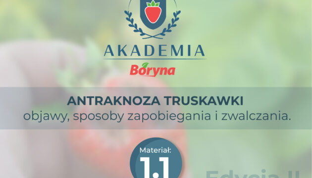 Akademia zdj główne 1 _Obszar roboczy 1_Obszar roboczy 1