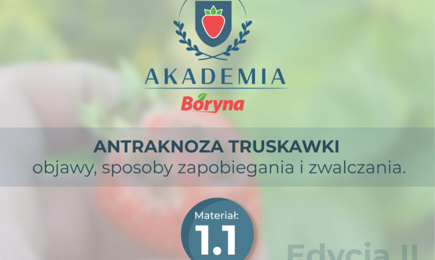 Akademia zdj główne 1 _Obszar roboczy 1_Obszar roboczy 1