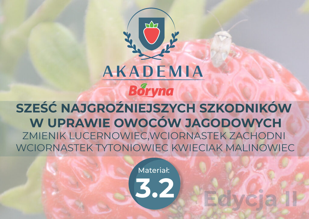 Akademia 2 zdj tytułowe 3.2_Obszar roboczy 1