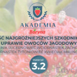 Sześć najgroźniejszych szkodników w uprawie owoców jagodowych ? część druga