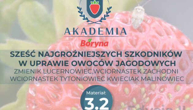 Akademia 2 zdj tytułowe 3.2_Obszar roboczy 1