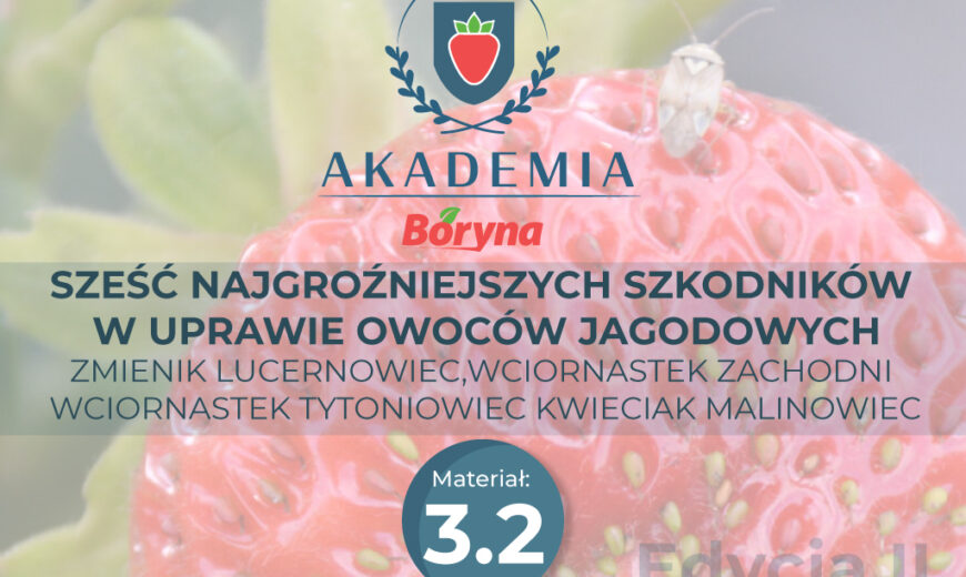 Akademia 2 zdj tytułowe 3.2_Obszar roboczy 1