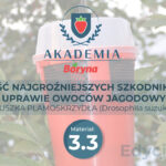 Sześć najgroźniejszych szkodników w uprawie owoców jagodowych ? część trzecia