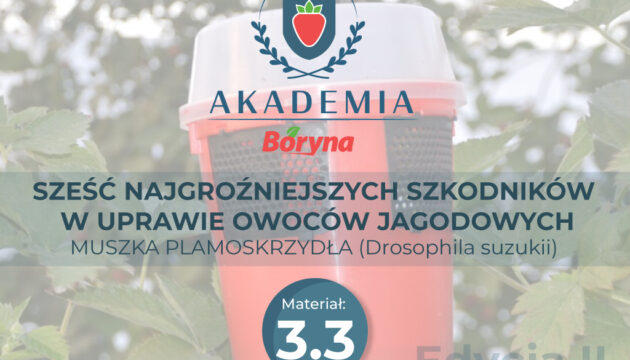Akademia 2 zdj tytułowe 3.3_Obszar roboczy 1