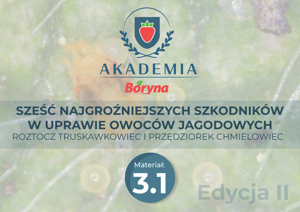 Akademia_2_zdj_tytuowe3__Obszar_roboczy_1_Obszar_roboczy_1