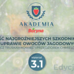 Sześć najgroźniejszych szkodników w uprawie owoców jagodowych ? część pierwsza