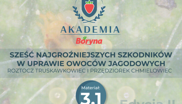 Akademia_2_zdj_tytuowe3__Obszar_roboczy_1_Obszar_roboczy_1