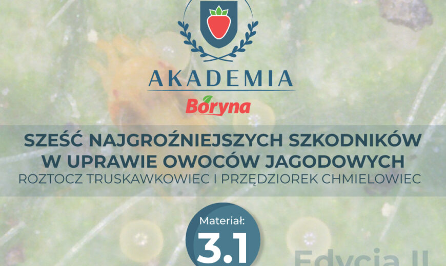 Akademia_2_zdj_tytuowe3__Obszar_roboczy_1_Obszar_roboczy_1