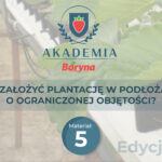 JAK ZAŁOŻYĆ PLANTACJĘ W PODŁOŻACH O OGRANICZONEJ OBJĘTOŚCI?