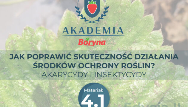 Akademia_2_zdj_tytuowe2_Obszar_roboczy_1 (1)