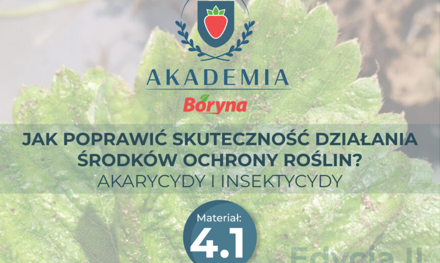 Akademia_2_zdj_tytuowe2_Obszar_roboczy_1 (1)