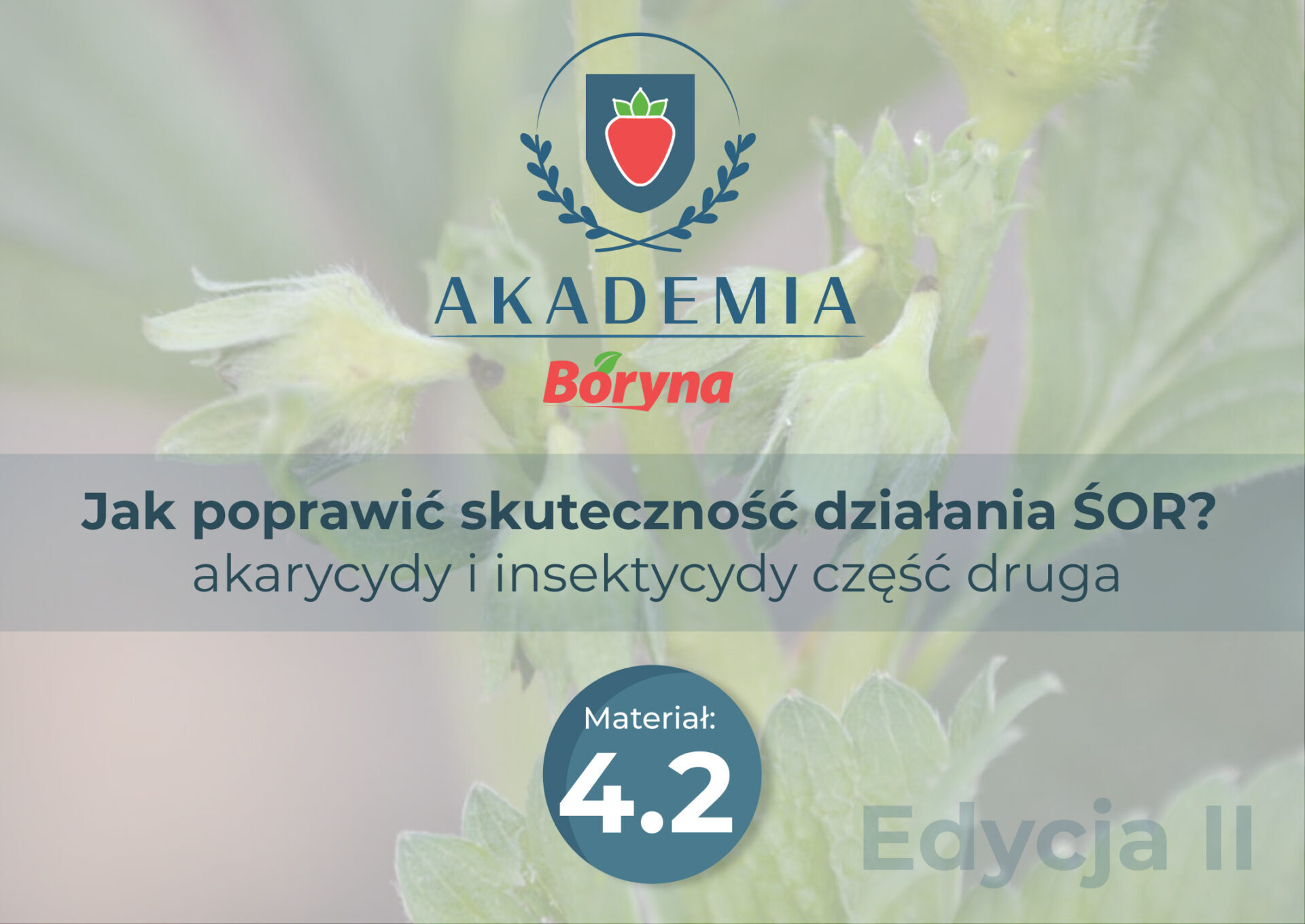 Materiał 4.2_Obszar roboczy 1