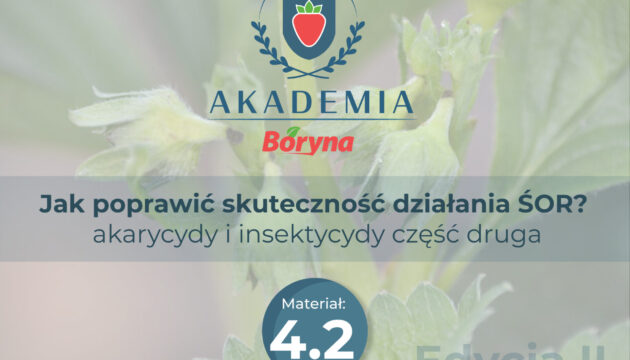 Materiał 4.2_Obszar roboczy 1