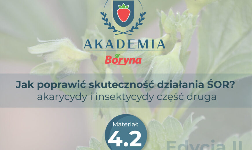 Materiał 4.2_Obszar roboczy 1