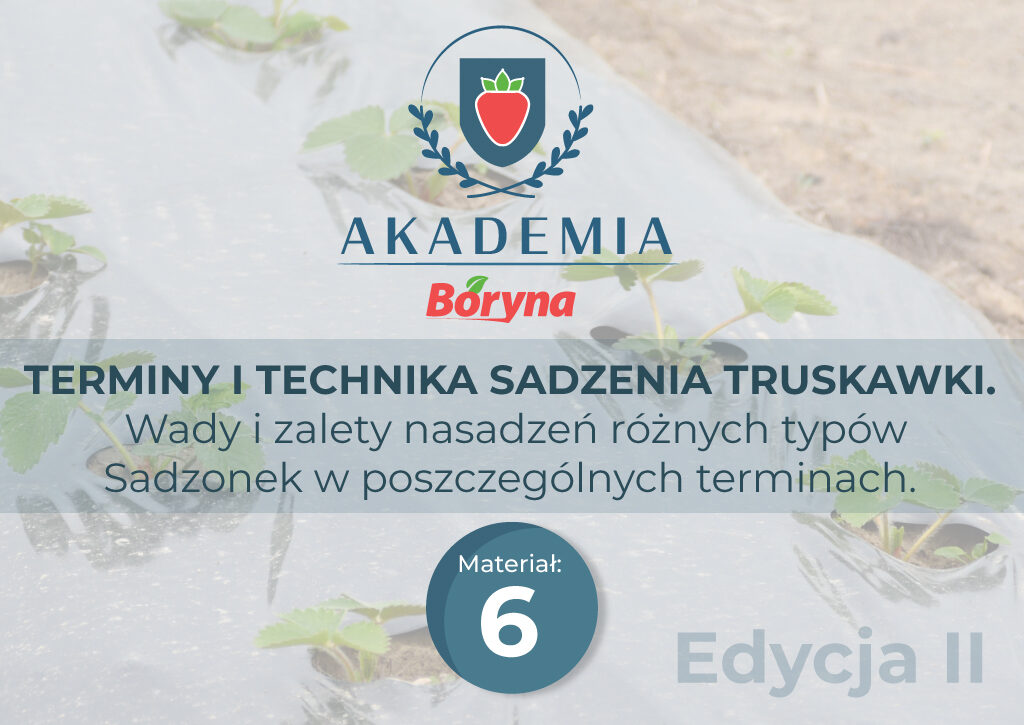 Materiał 6 zdj główne _Obszar roboczy 1