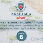 Terminy i technika sadzenia truskawki.