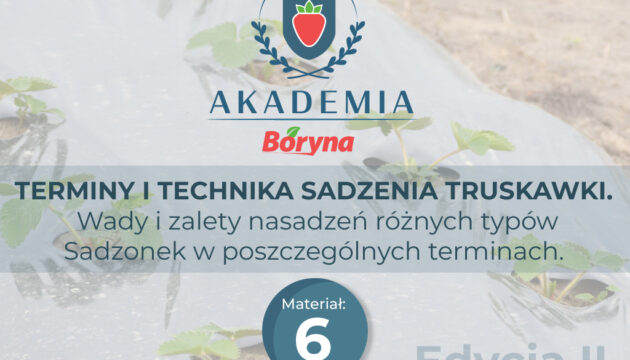 Materiał 6 zdj główne _Obszar roboczy 1