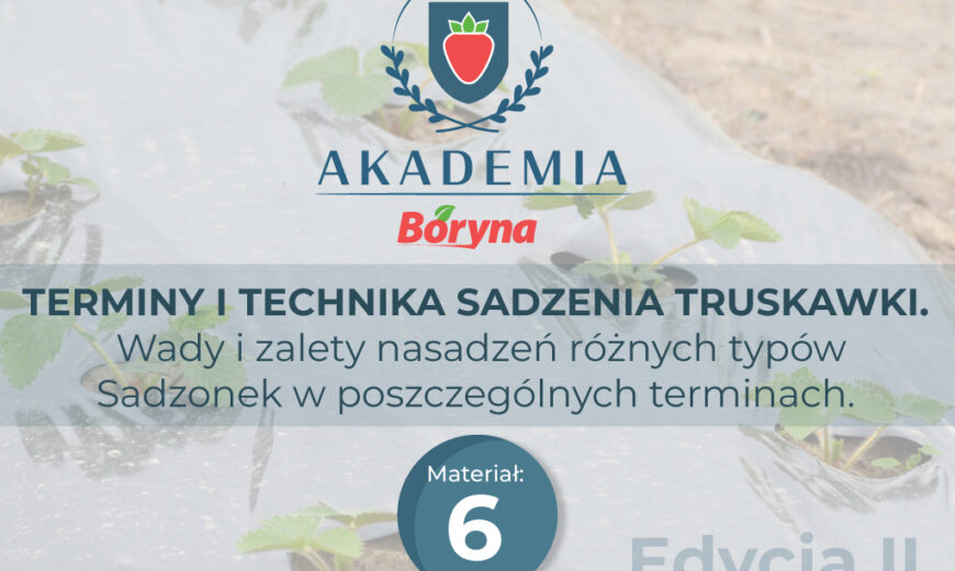 Materiał 6 zdj główne _Obszar roboczy 1