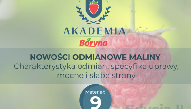 Akademia 2 zdj tytułowe 9_Obszar roboczy 1