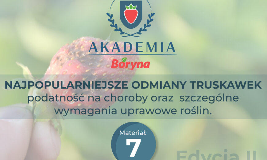 Akademia 2 zdj tytułowe2 mat 7_Obszar roboczy 1