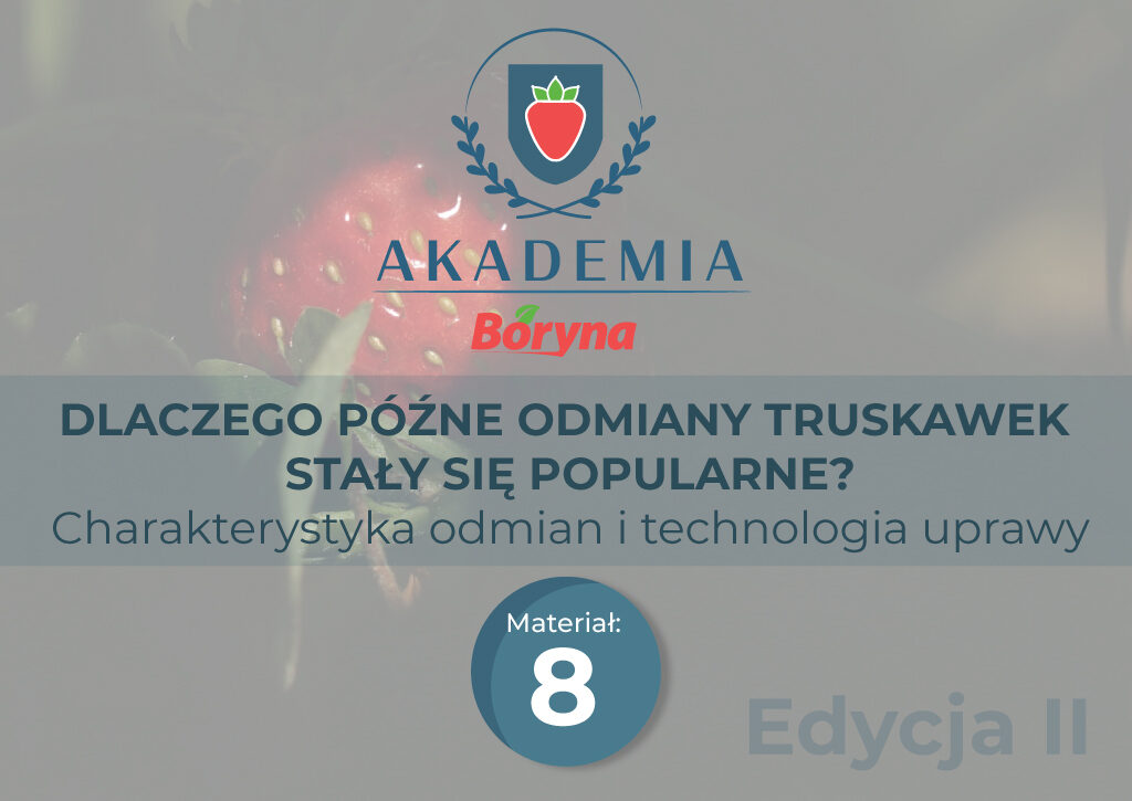 Materiał 8 zdj główne_Obszar roboczy 1