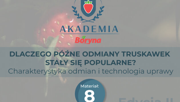 Materiał 8 zdj główne_Obszar roboczy 1