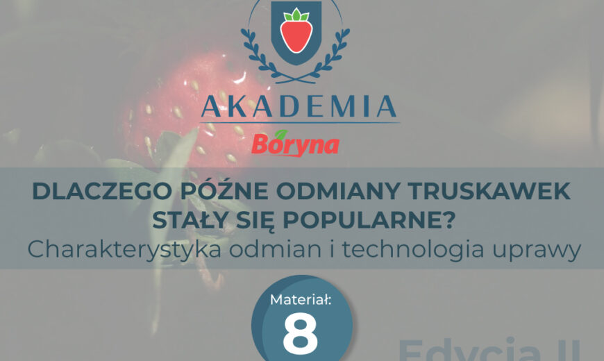 Materiał 8 zdj główne_Obszar roboczy 1