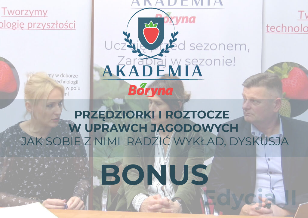 zdj do materiału bonus_Obszar roboczy 1