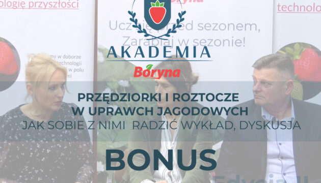 zdj do materiału bonus_Obszar roboczy 1