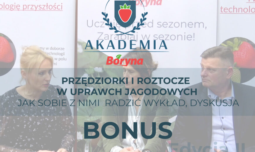zdj do materiału bonus_Obszar roboczy 1