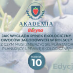 JAK WYGLĄDA RYNEK EKOLOGICZNY OWOCÓW JAGODOWYCH W POLSCE?