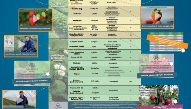 Program-ochrony-2022-Boryna
