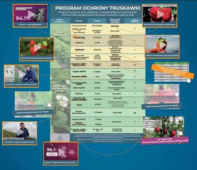 Program-ochrony-2022-Boryna