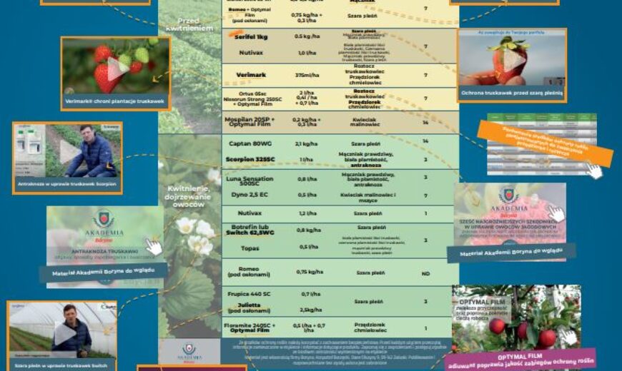Program-ochrony-2022-Boryna