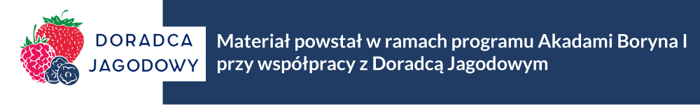 Doradca Jagodowy i Akademia Boryna