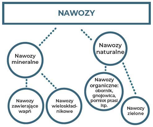 nawozy do truskawek - podział nawozów do uprawy truskawki
